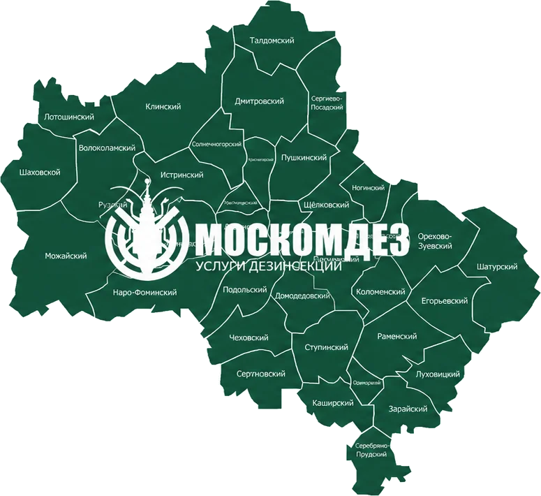Карта выезда: Можайск и Московская область